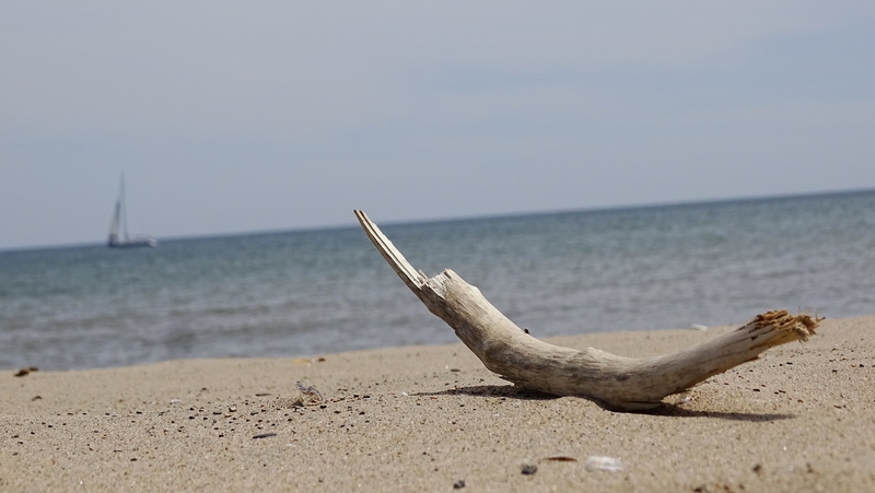 transportation, nature, horizon over water, north point marina, no people, focus on foreground, water, 5K, horizon, sea, day, driftwood, nautical vessel