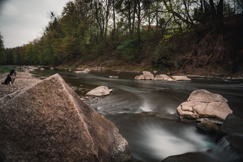 flowing water, outdoors, tranquility, no people, stone, animal, rock, 5K, sky, day, long exposure, czechia, plant, motion, czech, land, dog, beauty in nature