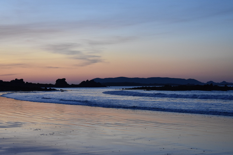 non-urban scene, scenics - nature, seaside, cloud - sky, sky, idyllic, beach, tranquil scene, sunset, white, dusk, beauty in nature, animals, 5K, no people