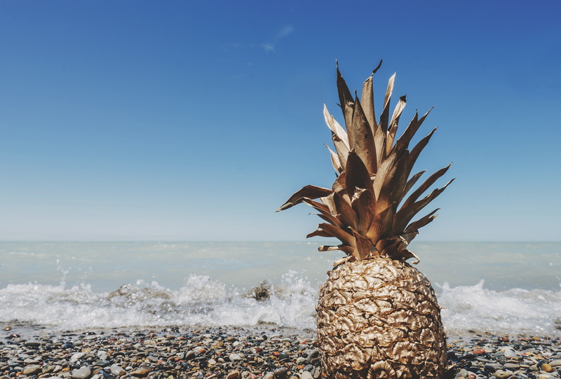 animal themes, desert, landscape, frost, vacation, land, beauty in nature, plant, photography, snow, fair weather, day, water, nature, outdoors, body, seashore