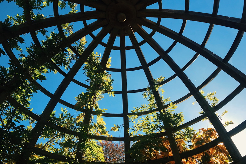 built structure, directly below, autumn, low angle view, plant, sunlight, day, sky, outdoors, cloud - sky, growth, 1 inverforth cl, 4K, united kingdom