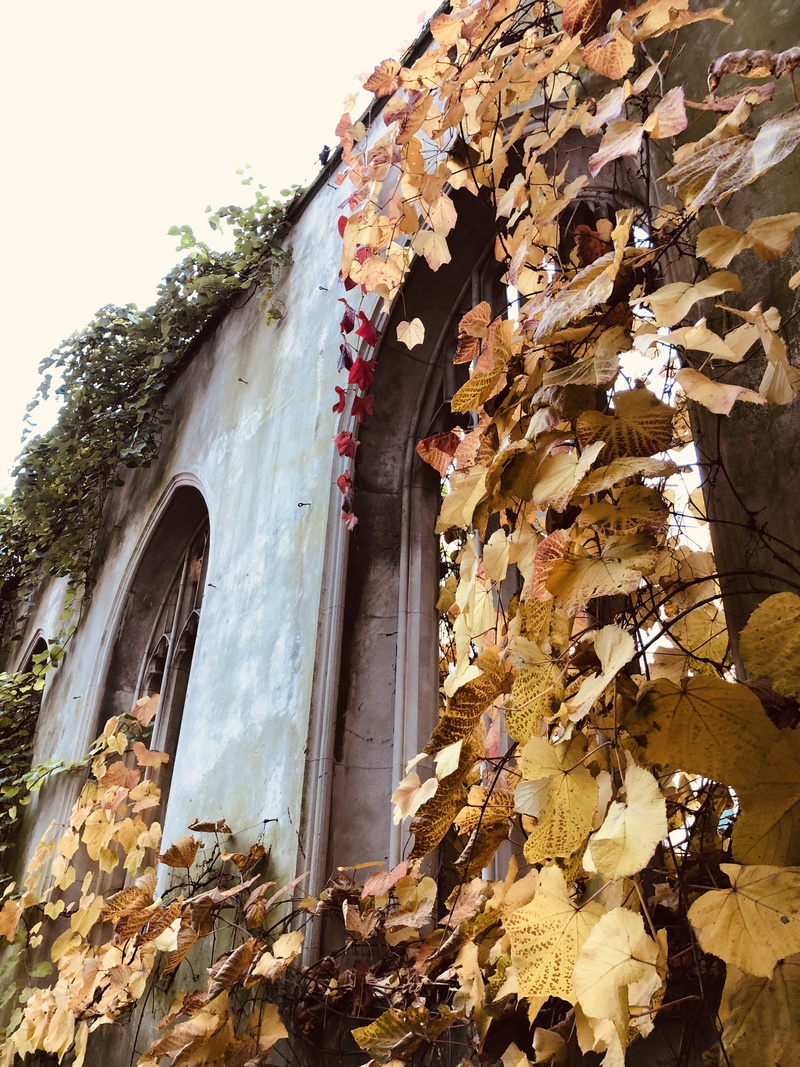 fall, nature, building, architecture, tree, london, ruin, wild, st. dunstan in the east church garden, day, leaf, window, built structure, arch, leaves