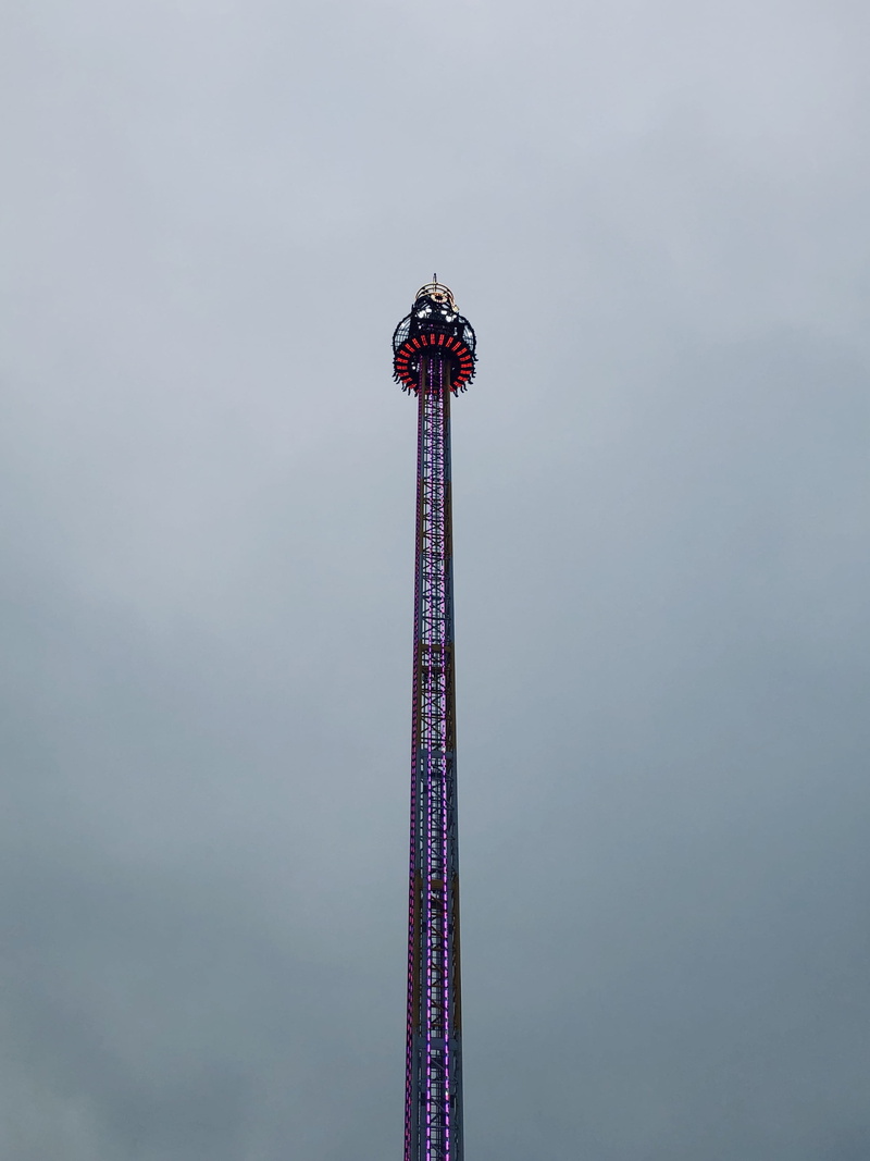 plant, photography, metal, adventure, angle, steeple, enjoyment, coaster, day, vehicle, theme park, construction crane, architecture, 2K, tall - high