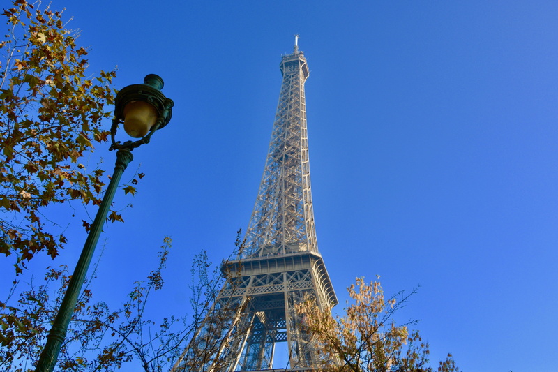 metal, architecture, city, 5K, sky, nature, no people, outdoors, tree, gustave eiffel, building exterior, spire, travel, low angle view, the past, culture