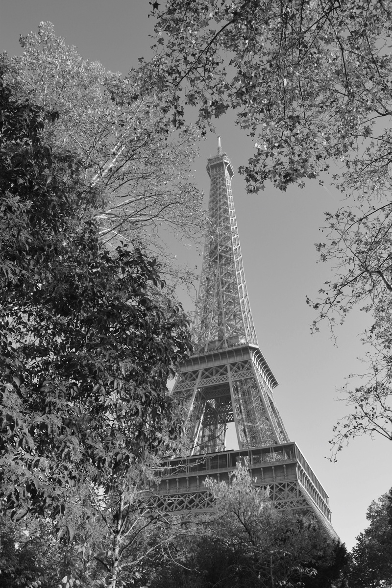 heritage, nature, history, gustave eiffel, eiffel tower photo black and white, city, travel destinations, built structure, architectural feature, culture