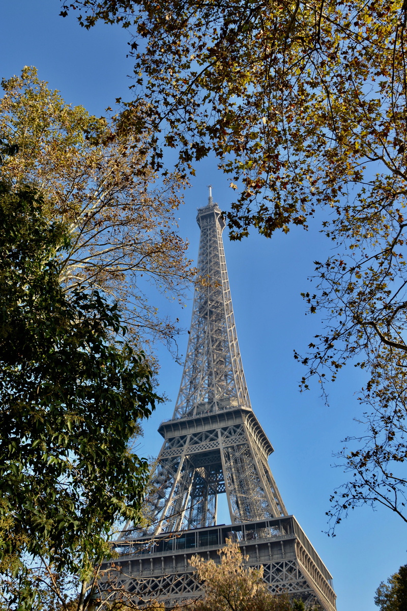gustave eiffel, tower, travel destinations, nature, culture, city of paris, city, france, history, heritage, sky, tourism, outdoors, paris is the capital of french