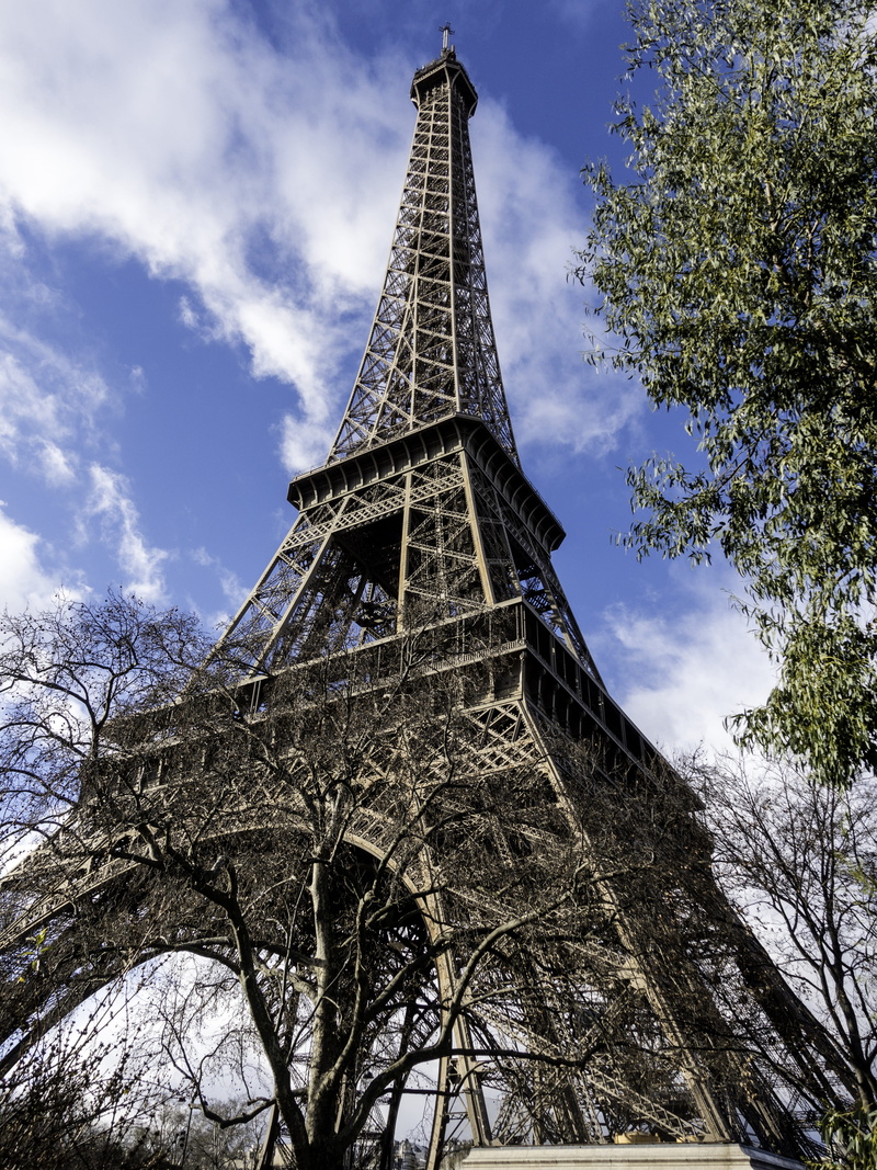 trocadéro, nature, champs de mars, outdoors, building, built structure, sky, travel, tourism, the past, trees, history, paris, visitors, grand, low angle view