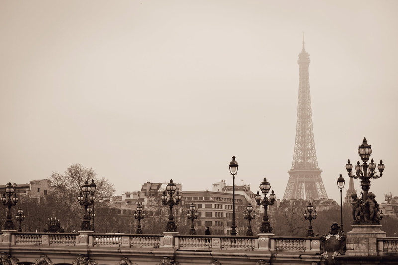 eiffel, nature, day, the city, capital Cities, seine River, iron - metal, tourism, tower, urban Scene, england, travel Destinations, famous Place, lights