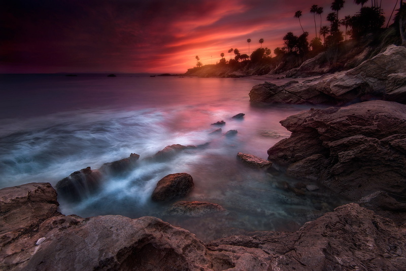 USA, CA, 1080P, excerpt, beach, state, the evening, Laguna, palm trees