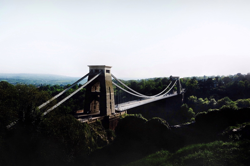 suspension bridge, water, tranquility, landscape, flora, plant, scenics - nature, transportation, suspension, bridge - man made structure, tree, vegetation