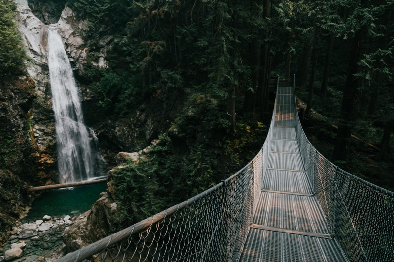 near, rainforest, suspension Bridge, national Park, hanging, uSA, movement, national Landmark, travel, green Color, wire, bridge - Vessel Part, river, scenery