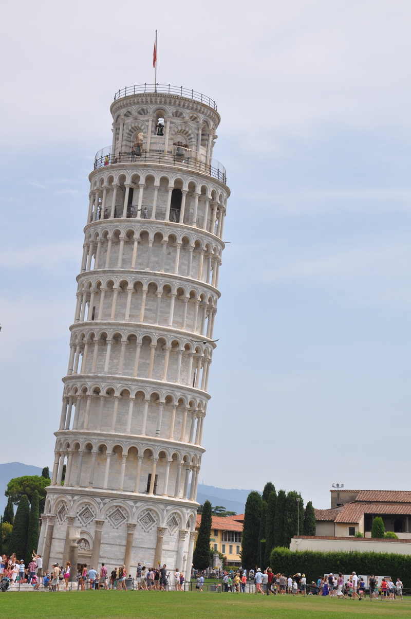 plant, leaning Tower of Pisa, tower, pisa, incidental people, italy, tall - high, monument, travel destinations, city, trip, italian, real people, famous