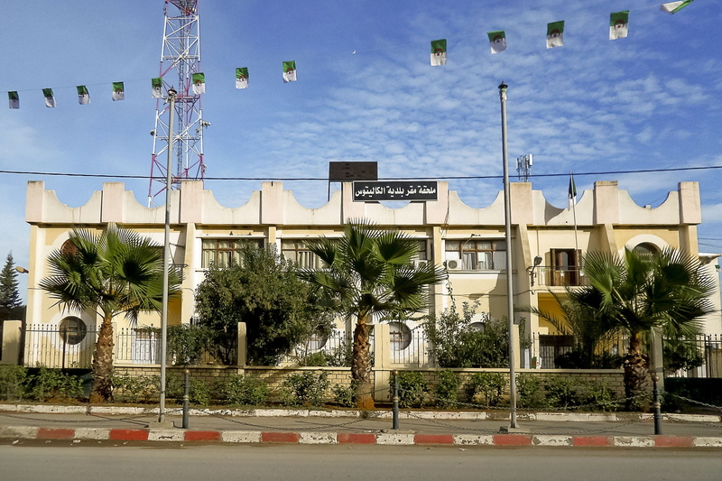 Algeria, buildings, tree, tropical, built Structure, palm tree, architecture And Buildings, public domain, architecture, outdoors, no people, city, building