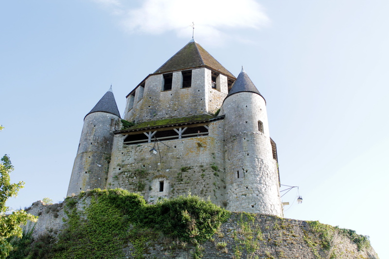 4K, tower, sky, fort, provins, no people, old, plant, nature, travel destinations, architecture, history, travel, seine and marne, castle, day, building