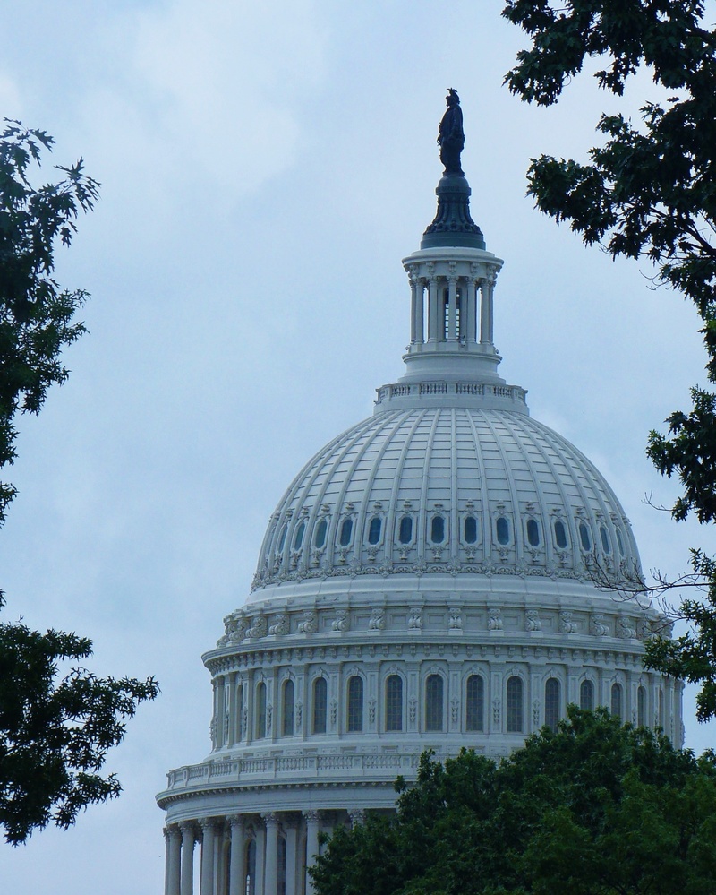 us capitol building, building, building exterior, the past, plant, spire, outdoors, 2K, washington dc, built structure, landmark, day, travel destinations
