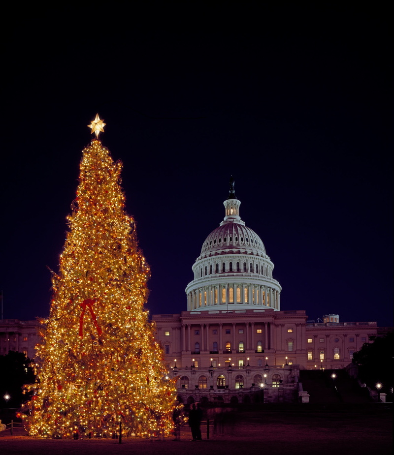 building exterior, night, christmas lights, christmas ornament, capitol, celebration, bright, no people, festive, government, winter, washington dc, architecture