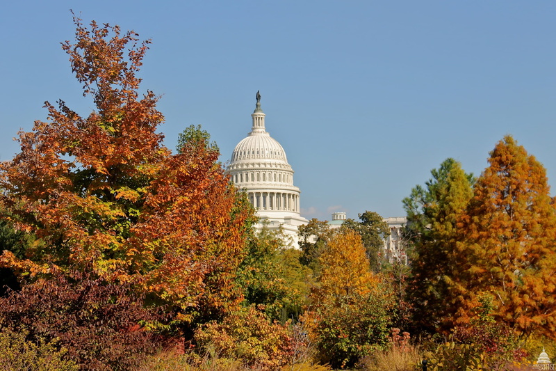 state Capitol Building, Architecture, Washington Dc, foliage, urban, plant, cities, nature, clouds, Capitol, city, politics, capitol Hill, change, capitol Building