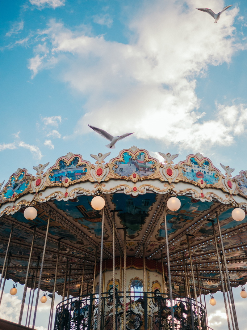 luca, dugaro, animal wildlife, fly, paris, day, building exterior, merry-go-round, arts culture and entertainment, architecture, amusement park, animal representation