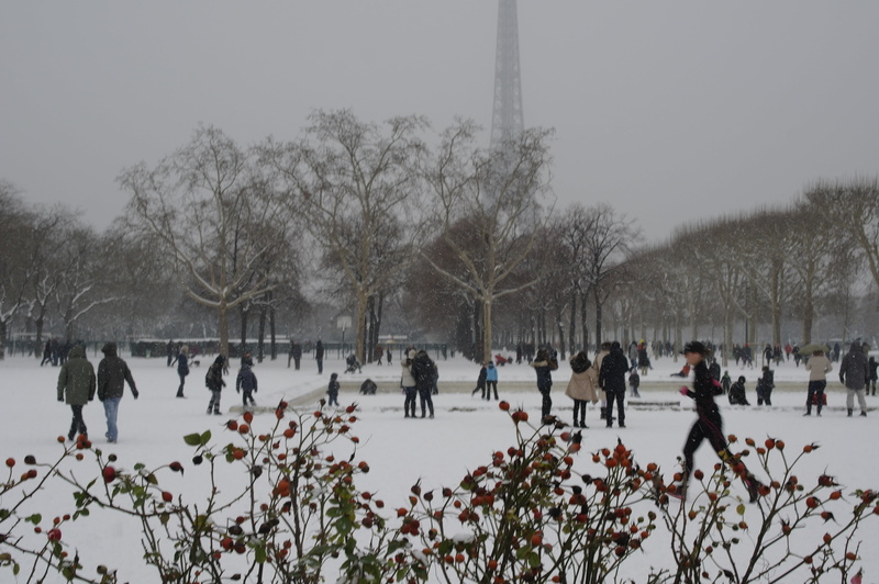 architecture, champs de mars, cold temperature, ice-skating, group of people, cold, winter, bare tree, nature, games, sport, day, crowd, sky, eiffel tower