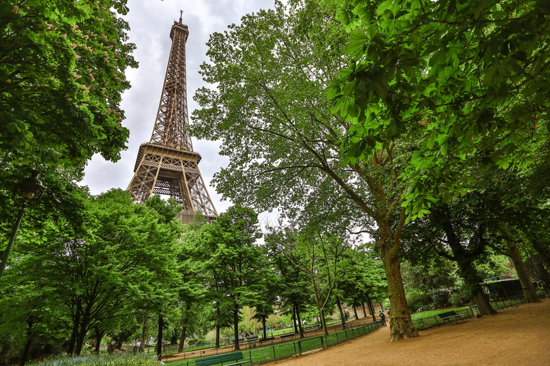 champ de mars, daytime, metal, travel destinations, park, tree, tall, nature, low angle view, built structure, tower, building, tall - high, the past, trees