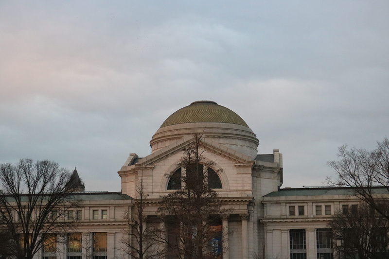 design, architect, building exterior, the past, builder, travel destinations, low angle view, nature, bare tree, political, politics, building, smithsonian national museum of natural history