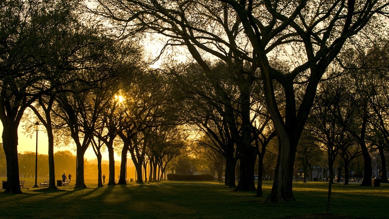 photo, tranquility, direction, tourism, tree, sunlight, plant, columbia, park, government, diminishing perspective, the way forward, mall, footpath, sky