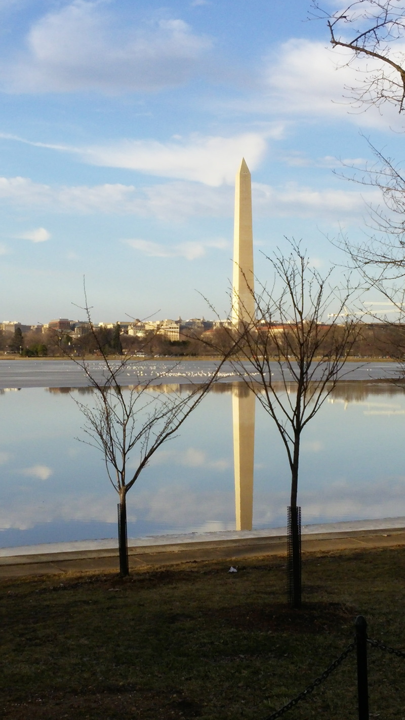 district of columbia, land, architecture, cloud - sky, potomac, plant, tower, sky, river, built structure, tranquil scene, reflection, bare tree, tranquility