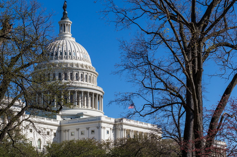 dome, architectural column, no people, tree, low angle view, outdoors, built structure, branch, us capitol building, clear sky, sky, washington dc, power