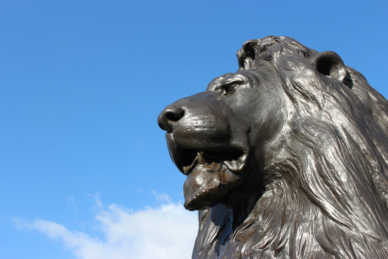 one animal, low angle view, animal body part, sky, animal, representation, trafalgar square, mammal, day, statue, creativity, lion, nature, animal head