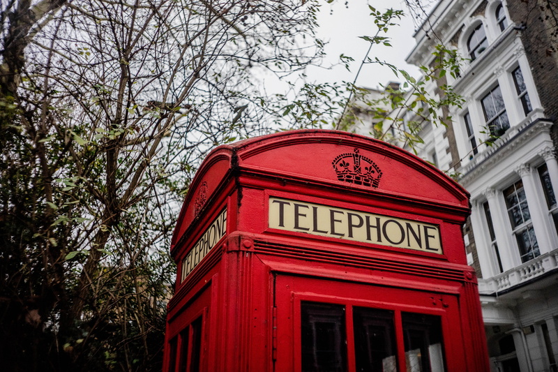 low angle view, telephone, potted plant, phone booth, building exterior, telephone box, british, nature, telephone booth, planter, outdoor, kiosk, text