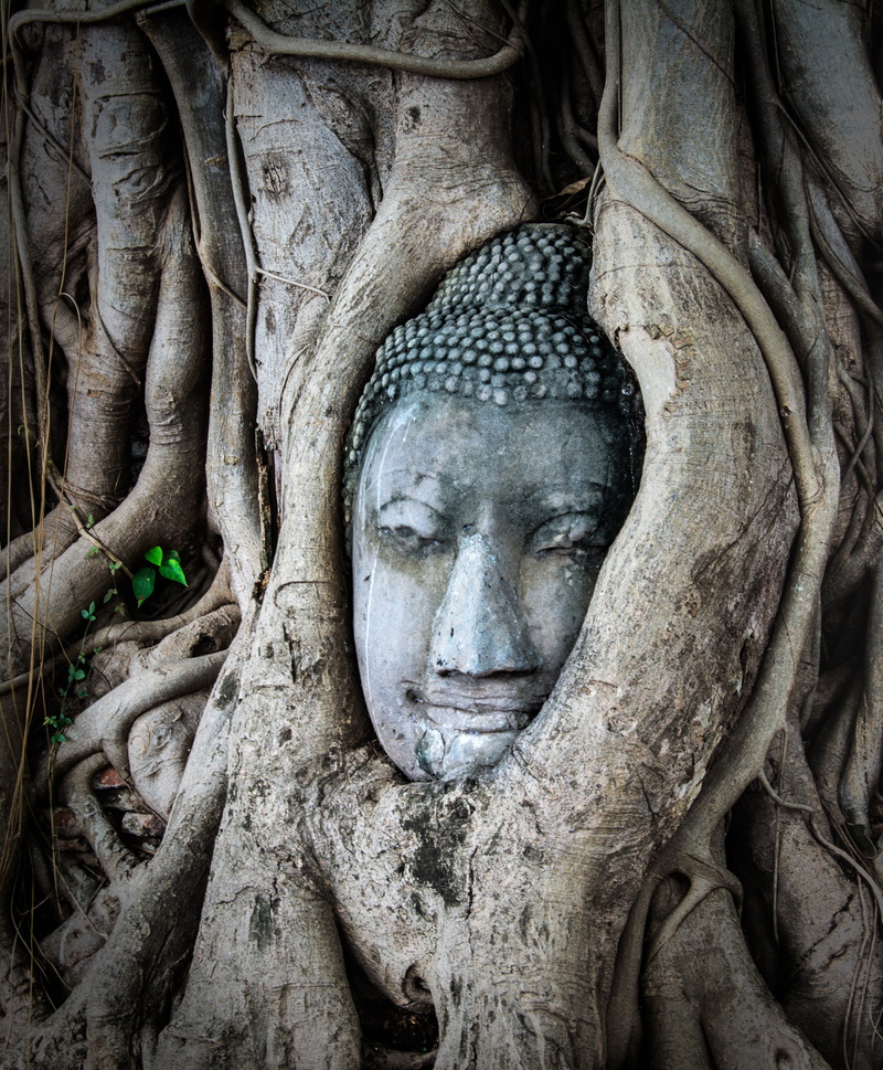 symbol, asia, tree trunk, buda, religion, human representation, gray, travel, trunk, plant, 4K, tourism, craft, sculpture, tree, representation, art and craft