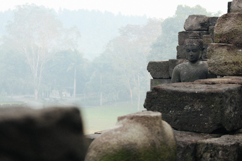 fog, forest, day, place of worship, tree, religion, tranquility, rocks, history, architecture, no people, borobudur temple, 2K, nature, indonesia, ancient