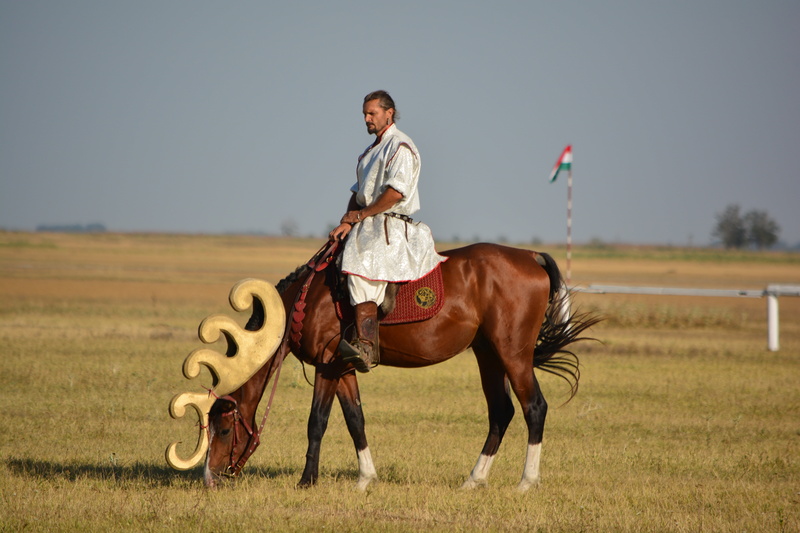 full length, activity, one person, ride, livestock, animal wildlife, men, domestic animals, mammal, herbivorous, 5K, jockey, outdoors, domestic, tradition
