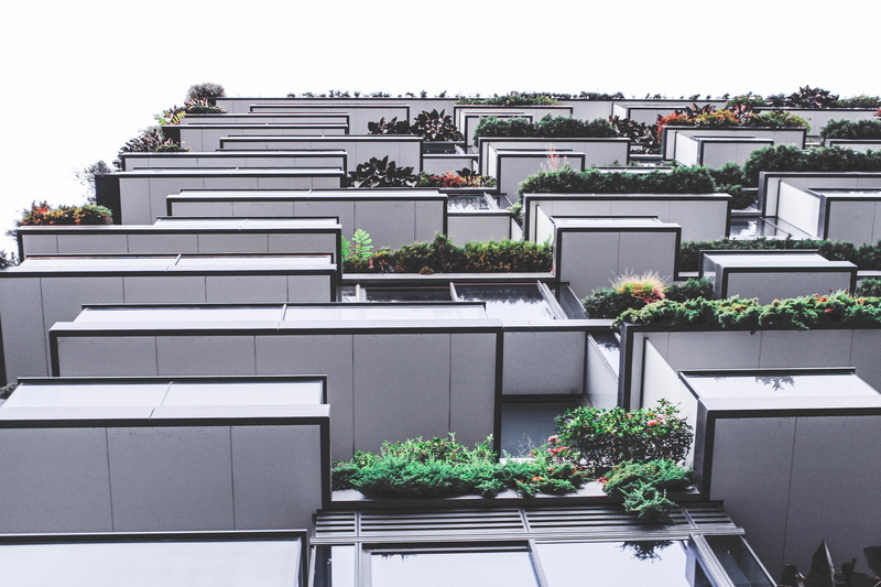 day, city, built structure, building, clear sky, plant, central park mall, 4K, roof, outdoors, house, apartment, nature, sky, residential district, potted plant