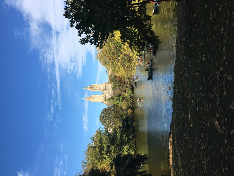 nyc, building exterior, built structure, travel, sky, 4K, architecture, sunlight, central park, no people, new york, tree, water, travel destinations