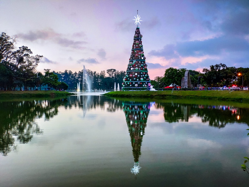 lawn, lake, reflection, building exterior, travel destinations, land, conifer, built structure, waterfront, fir, park, cloud - sky, daytime, plant, cloudy