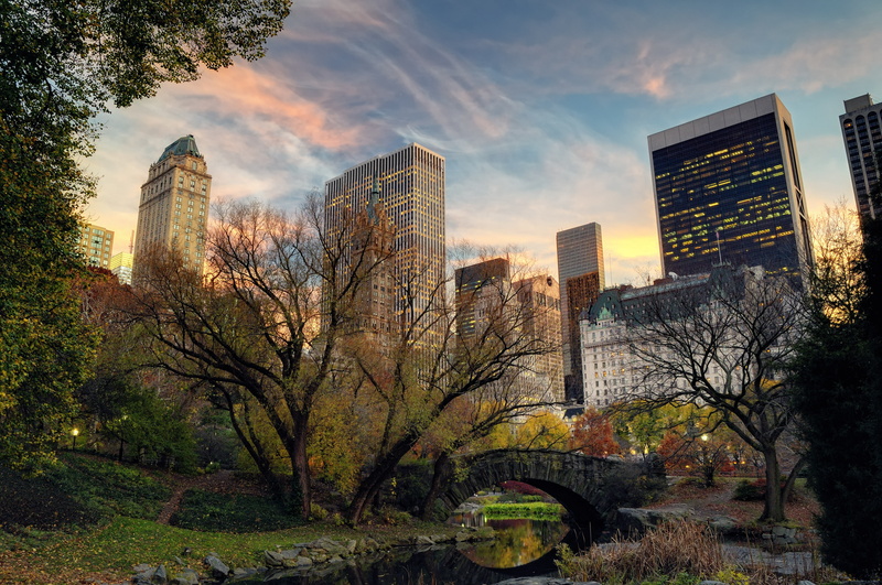 no people, manhattan - New York City, 4K, skyscrapers, tall - high, skyscraper, the evening, office Building, tree, trees, park - Man Made Space, New York