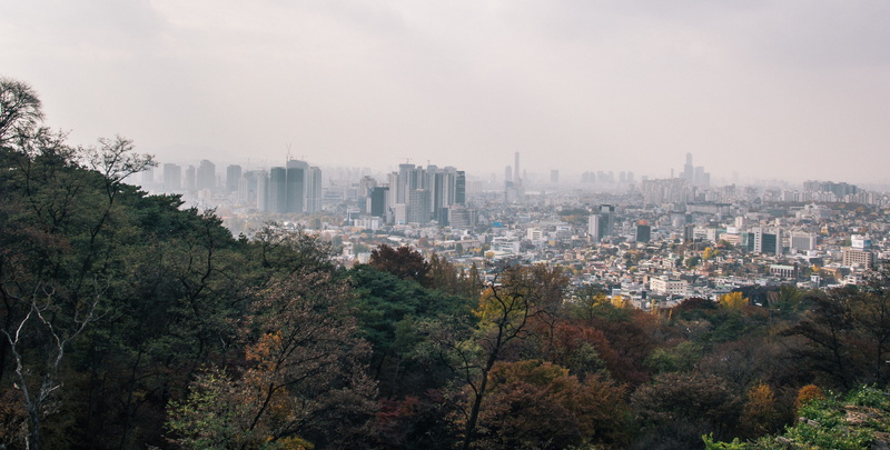 architecture, 4K, buiding, cityscape, korea, building, filter, building exterior, tree, sky, house, outdoors, office building exterior, trees, nature