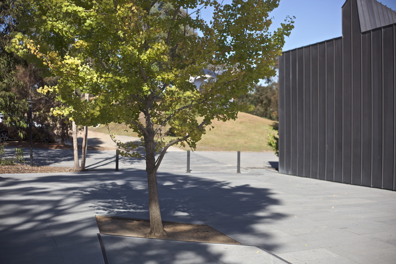 water, absence, light, trees, pomo architecture, doncaster, autumn, architecture, day, grass, building exterior, footpath, posts, wall, victoria, 5K, building