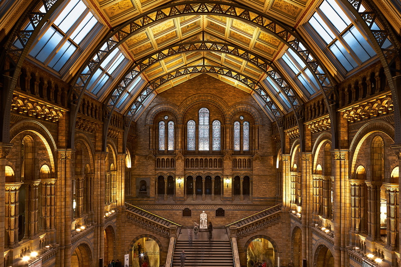 history, illuminated, tourism, front, historical, buiding, dome, brown, white, window, low angle view, ceiling, ornate, natural history museum, no people