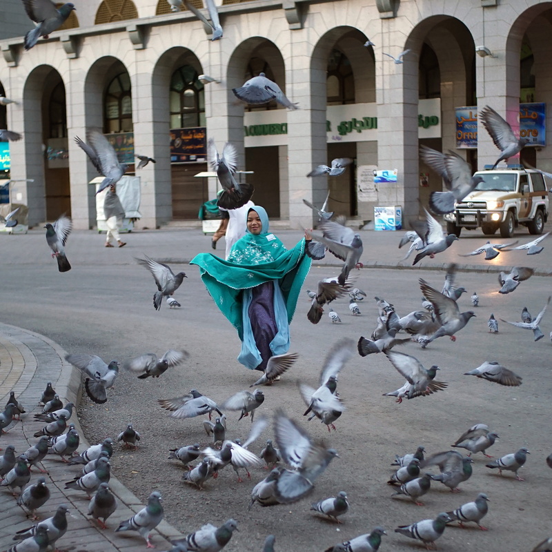 saudi arabia, teenager, large group of animals, outdoors, dance, car, young adult, full length, explore, vehicle, architecture, bird, urban, dove, 5K