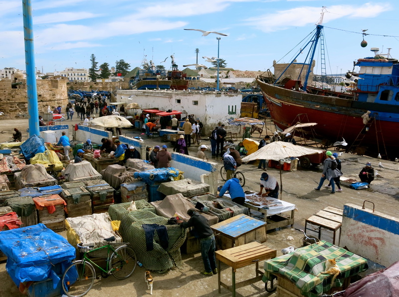 business, fish, fishing, crowd, trade, street, market, moored, sea, marocco, boat, real people, group of people, fishing industry, water, mode of transportation