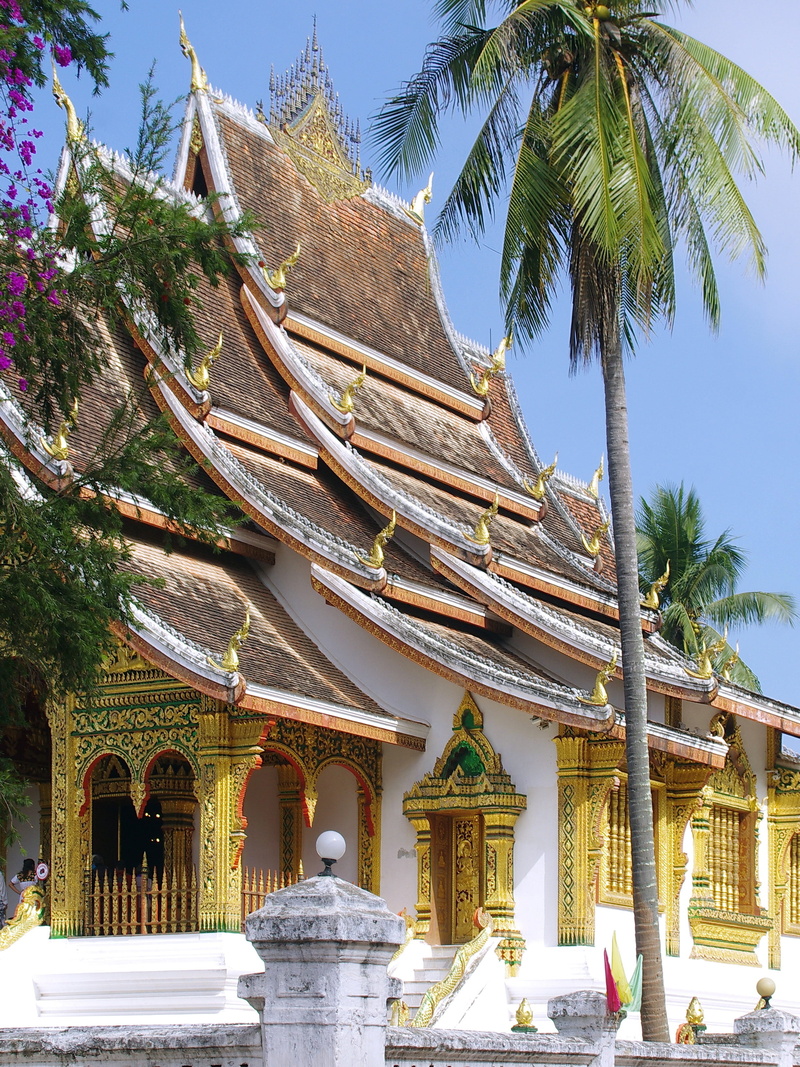 religion, temple, palm tree, sky, colorful, no people, roofing, exotic, ornate, coconut palm tree, outdoors, luang prabang, traditional, place of worship