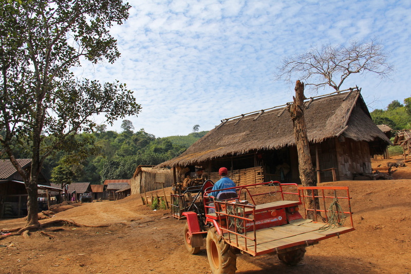 growth, built structure, 2K, top, one person, houses, nature, scenic, men, transportation, agriculture, hut, real people, architecture, tourism, tree