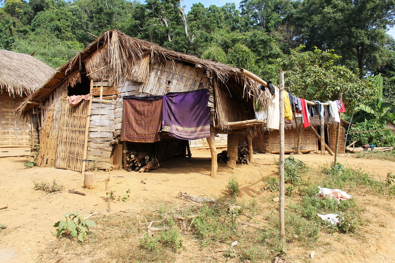 scenery, Houses, scenic, day, tourism, visit, Nature, field, plant, growth, house, laos, built structure, tree, drying, land, hut, architecture, building exterior