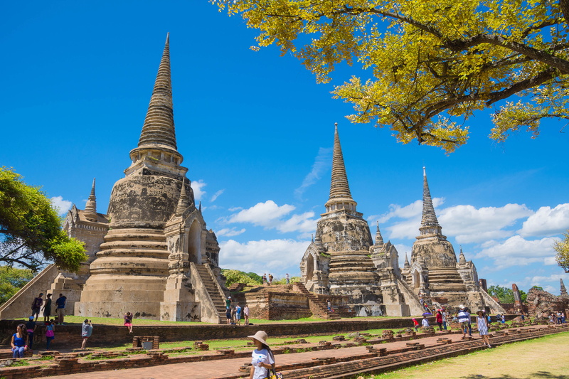 history, archaeology, ancient civilization, belief, phra nakhon si ayutthaya, tree, building, travel, ayutthaya old, ancient, spire, religion, outdoors