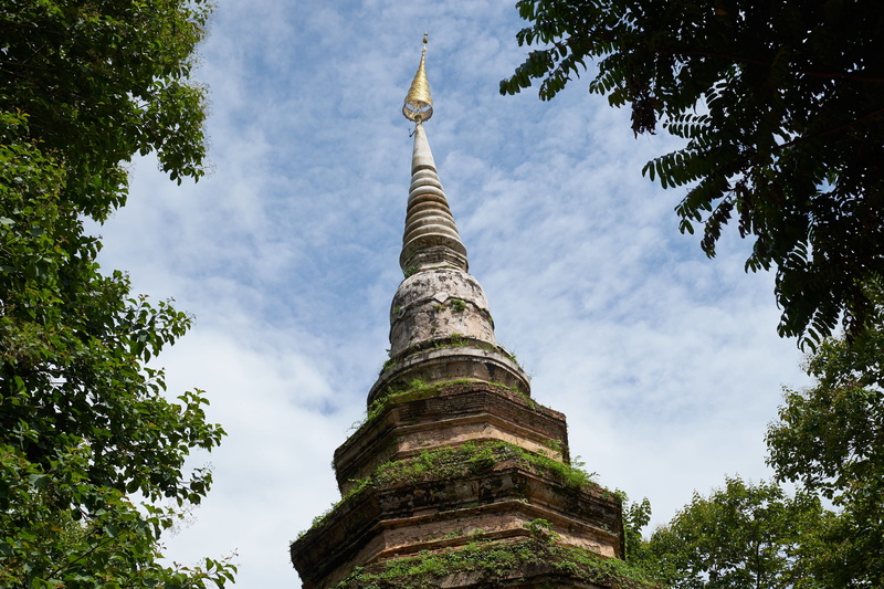 tall - high, nature, tourism, 4K, flood, history, temple, built structure, brick, earthquake, spirituality, outdoors, phra nakhon si ayutthaya, place of worship