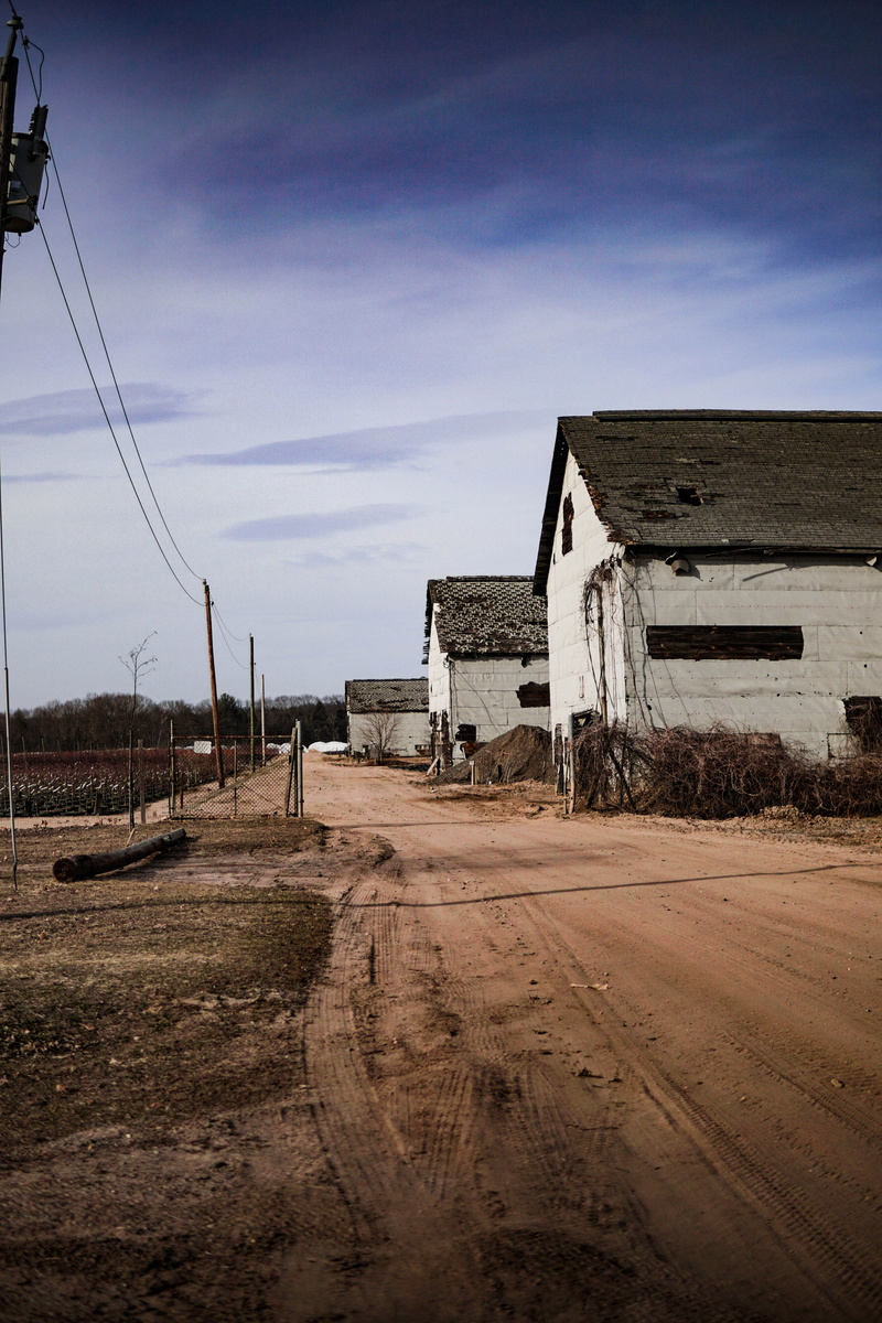 shack, architecture, neighborhood, hut, road, building, house, agricultural building, white, field, urban, rural scene, daytime, black, rural, cottage