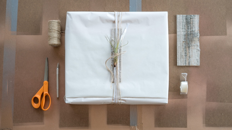 plant, gift wrapping, beauty in nature, scissors, potted plant, growth, tape, directly above, wood - material, 4K, nature, gift, crafts, still life, table