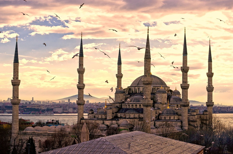 Turkey, cityscape, 1080P, place of worship, sky, belief, nature, spirituality, Sultan Ahmed Mosque, city, building, dome, Seagull, spire, architecture